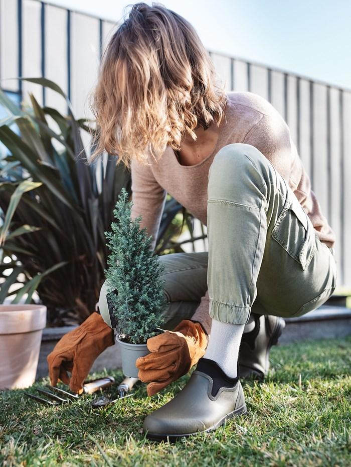 Active loisirs (bambou)